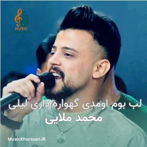 دانلود اهنگ لب بوم اومدی گهواره داری لیلی از محمد ملایی