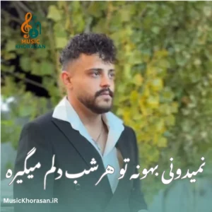 دانلود اهنگ نمیدونی بهونه تو هر شب دلم میگیره از محمد ملایی