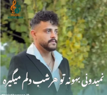 دانلود اهنگ نمیدونی بهونه تو هر شب دلم میگیره از محمد ملایی