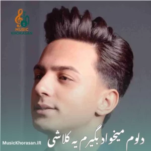 آهنگ دلوم میخواد بگیرم یه کلاشی از ابوالفضل رحیمی