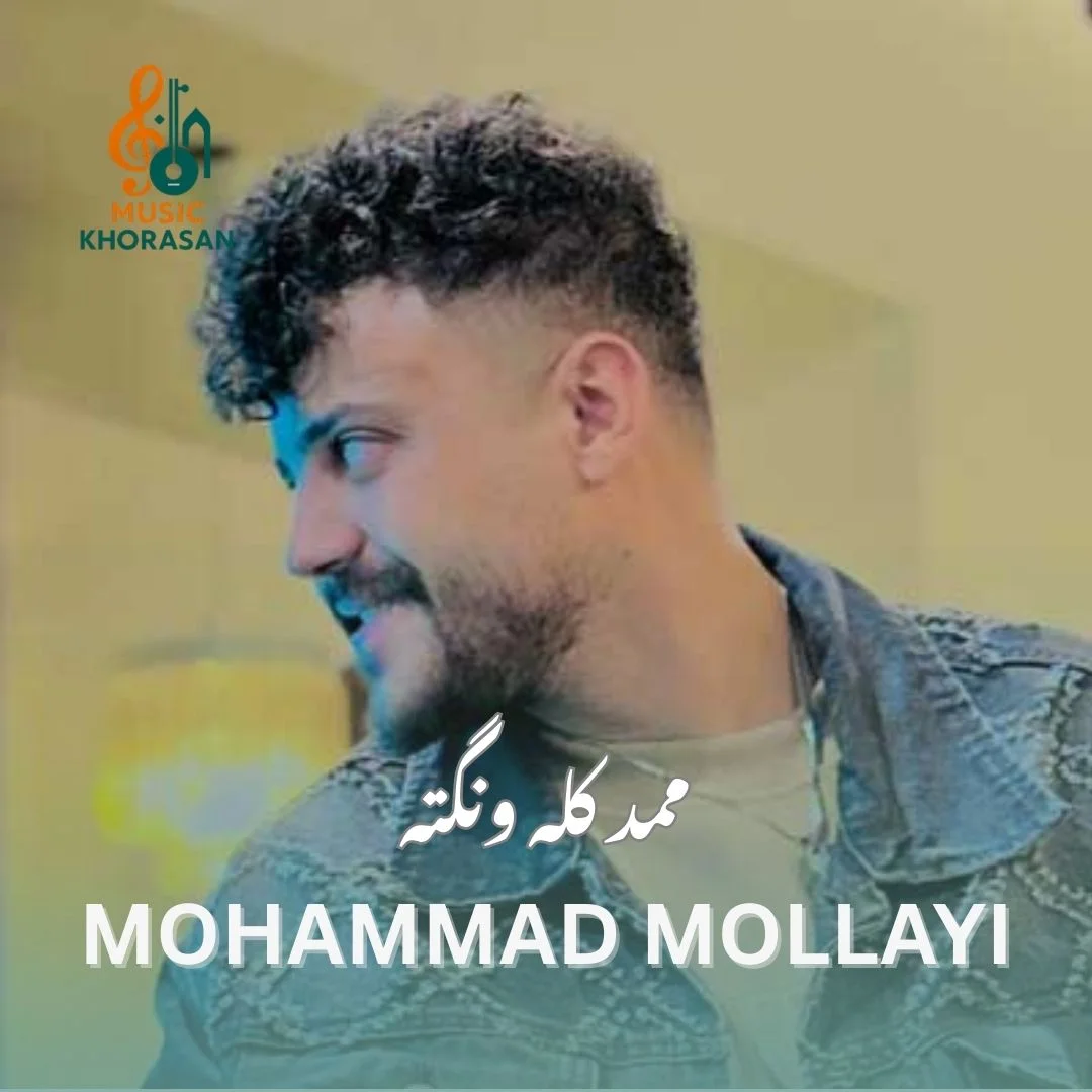 دل همیشه تنگته ممد کله ونگته از محمد ملایی