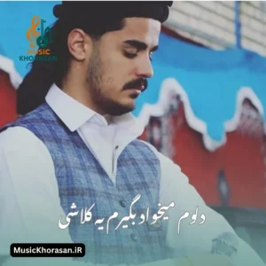 دانلود اهنگ دلوم میخواد بگیرم یه کلاشی از شاه مهدی رستم پور