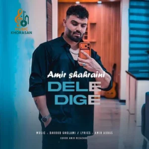 دانلود آهنگ دل دیگه از امیر شهرایینی