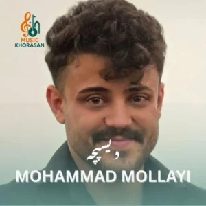 دانلود اهنگ دیسپچه از محمد ملایی