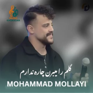 دانلود اهنگ گلم را میبرن چاره ندارم از محمد ملایی