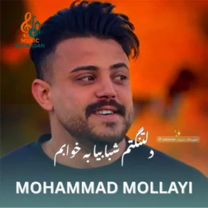 دلتنگتم شبا بیا به خوابم از محمد ملایی