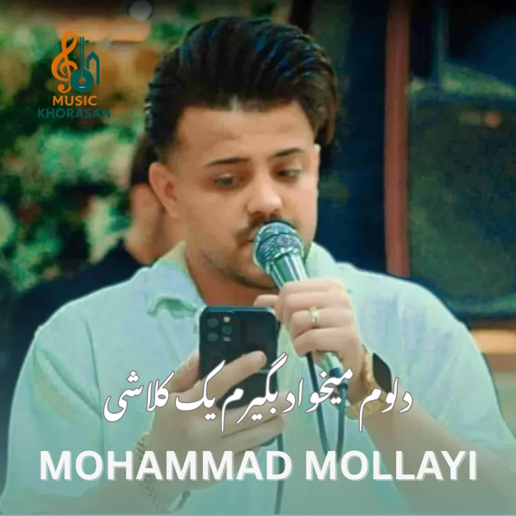 دلوم میخواد بگیرم یک کلاشی از محمد ملایی