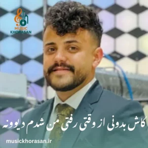 کاش بدونی از وقتی رفتی من شدم دیوونه از محمد ملایی