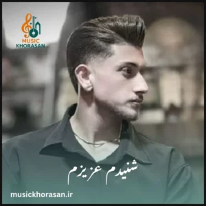 دانلود آهنگ شنیدم عزیزم که منو دوسم نداری از سجاد احمدی