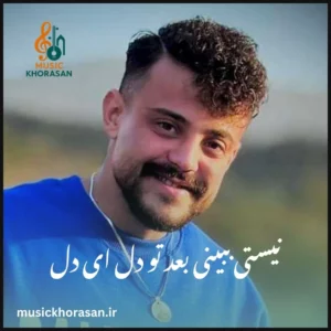 نیستی ببینی بعد تو دل ای دل از محمد ملایی